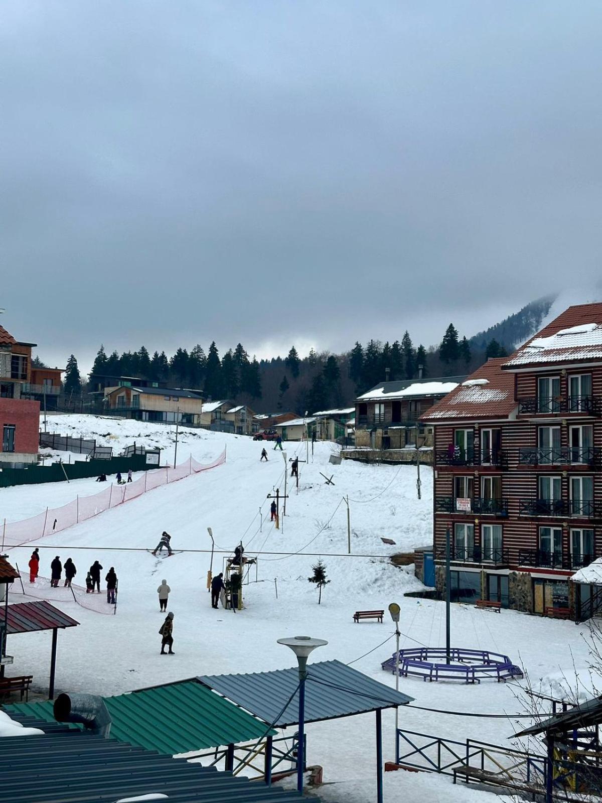 Mgzavrebi Apartment In Bakuriani Exteriér fotografie